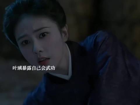 叶璃暴露自己会武功,墨修尧知道了却选择不问她