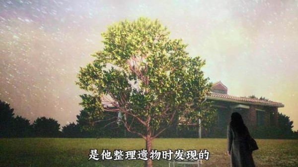 女子打开尘封录像带发现初恋少年生命止步赴约路上