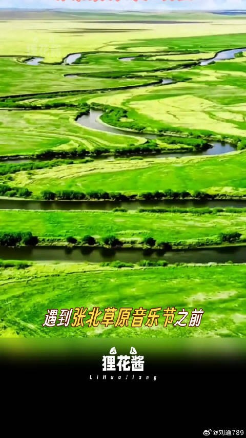 夏天就去要去草原上和喜欢的歌手们一起蹦一蹦啊！音乐节 微博VC计划