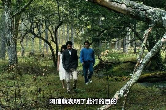 遗书揭露复仇计划,连环杀人案真凶竟是腹黑女王