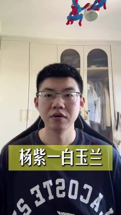 杨紫 #白玉兰 生命树不二之选！