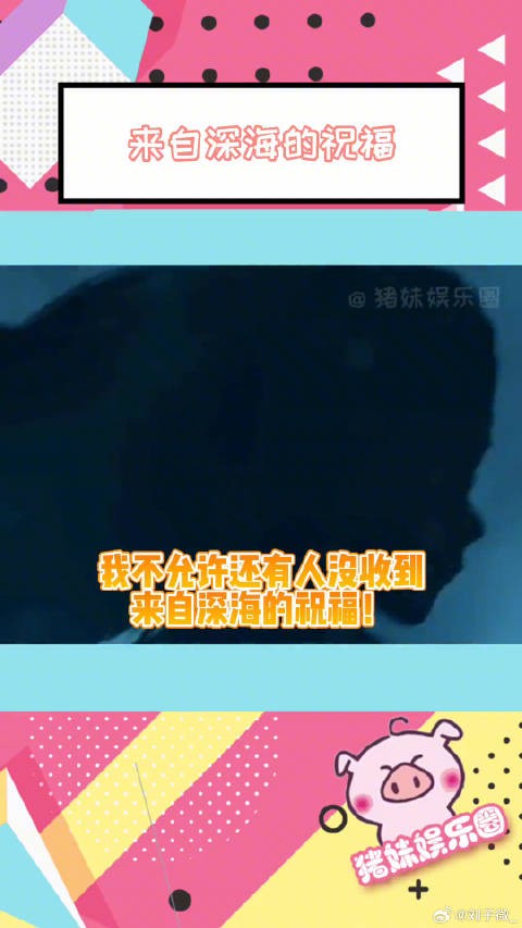 “希望你今后的每一次笑,都是真心的”微博VC计划