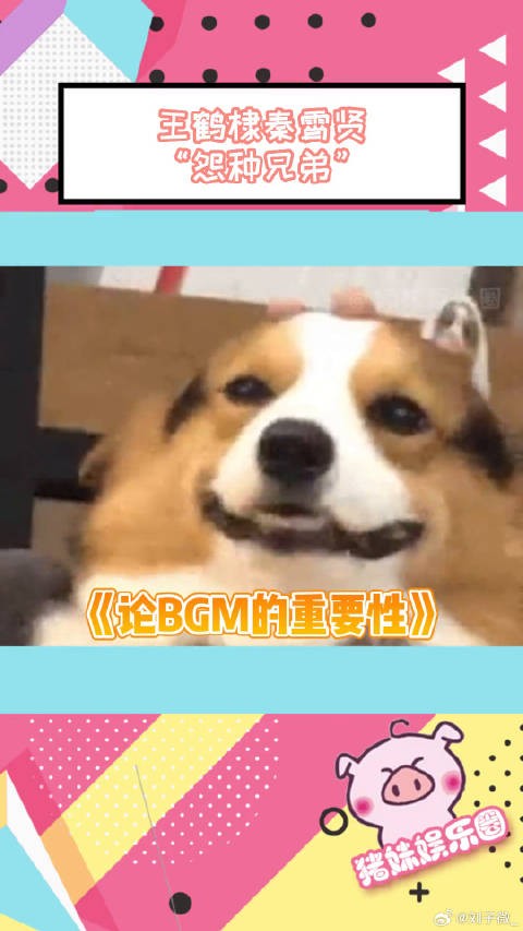 “怨种兄弟”的奇妙氛围感全力以赴的行动派 秦霄贤