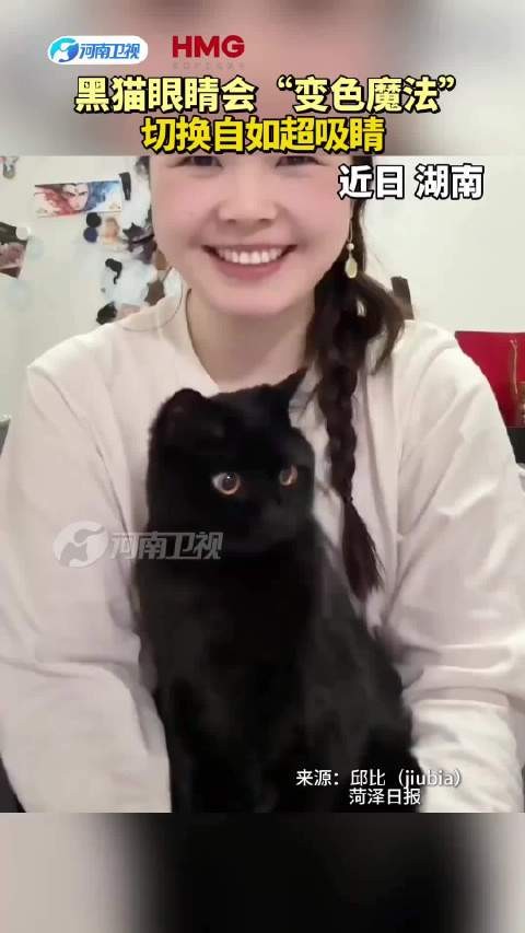 黑猫眼睛会“变色魔法”切换自如超吸睛！