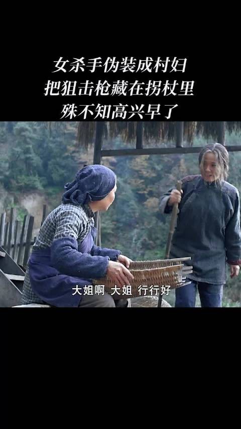 拐杖那么细 啥枪能放进去？