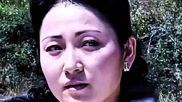 姑娘过关被士兵为难，下秒亮出证件，少将团长看了都认怂