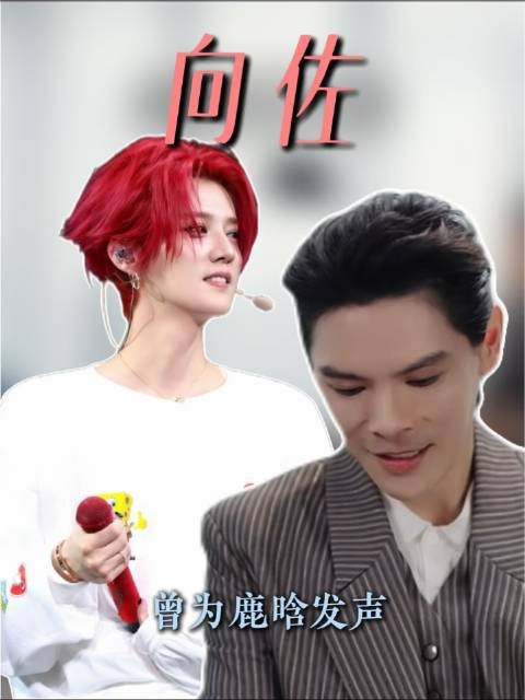 向佐早前曾为鹿晗发声力挺!
