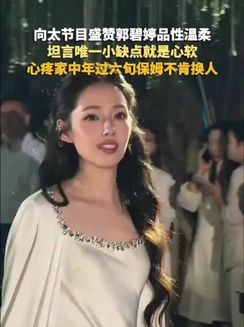 向太谈郭碧婷善良细心，赞其收养流浪动物