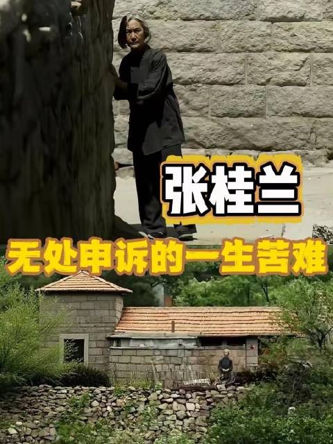 《父母爱情》里张桂兰的坚韧身影,映照出女性在时代褶皱中穿行的苦与光