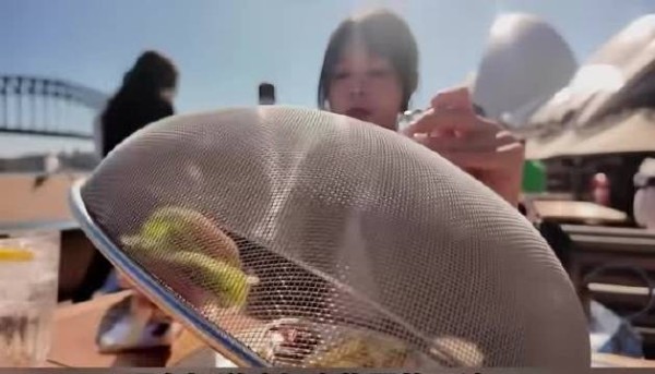 终于知道店家为什么要专门准备个食物盖子了