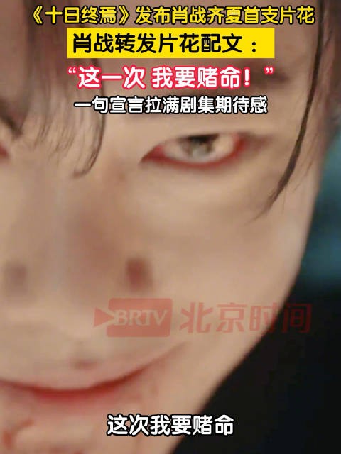 肖战齐夏这一次我要赌命