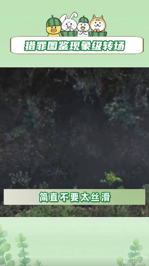 猎罪图鉴 金世佳