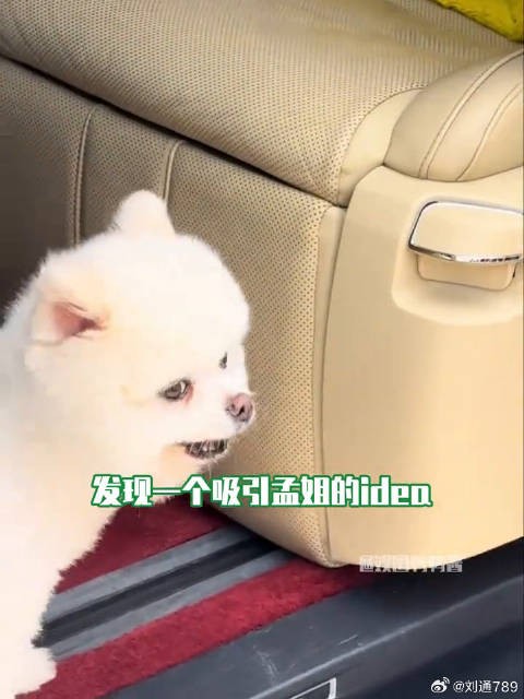 孟子义 娱乐评论大赏