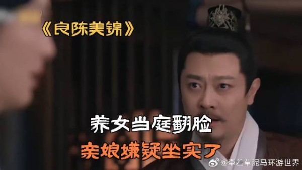 养女当庭翻脸，亲娘嫌疑坐实了