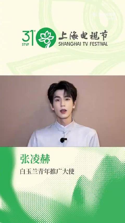 张凌赫用好的作品说话