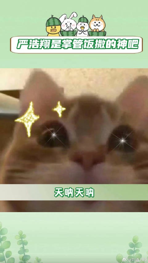 时代少年团 严浩翔 微博VC计划