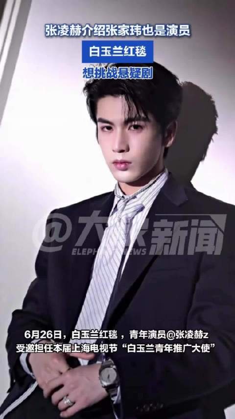 张凌赫介绍张家玮也是演员