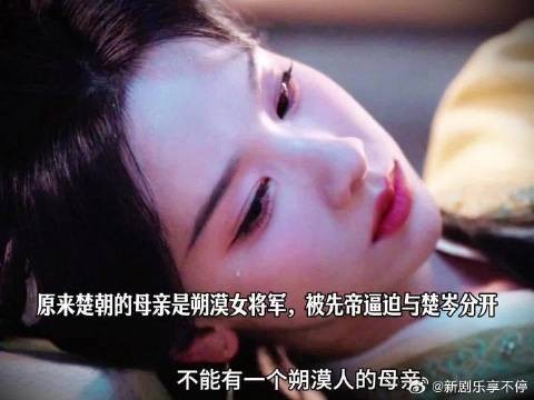 原来楚朝的母亲是朔漠女将军，被先帝逼迫与楚岑分开
