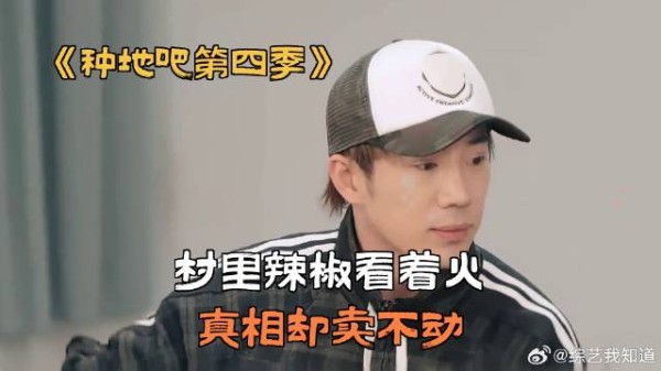 村里辣椒看着火，真相却卖不动