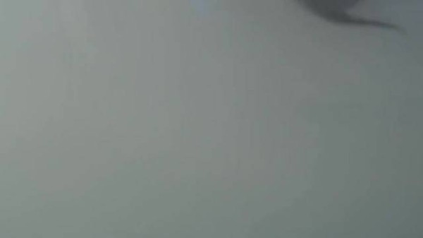 这一幕幕都是他们相爱的证据，这吻戏绝了！单身狗看完心跳加速！