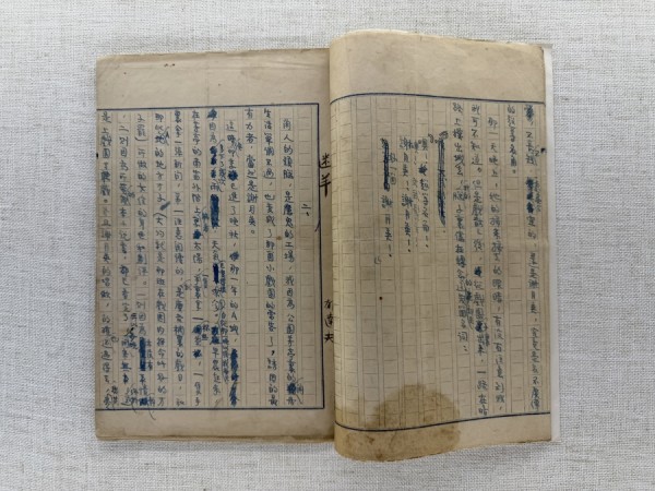 出版近百年，郁达夫中篇代表作《迷羊》26页手稿重现沪上