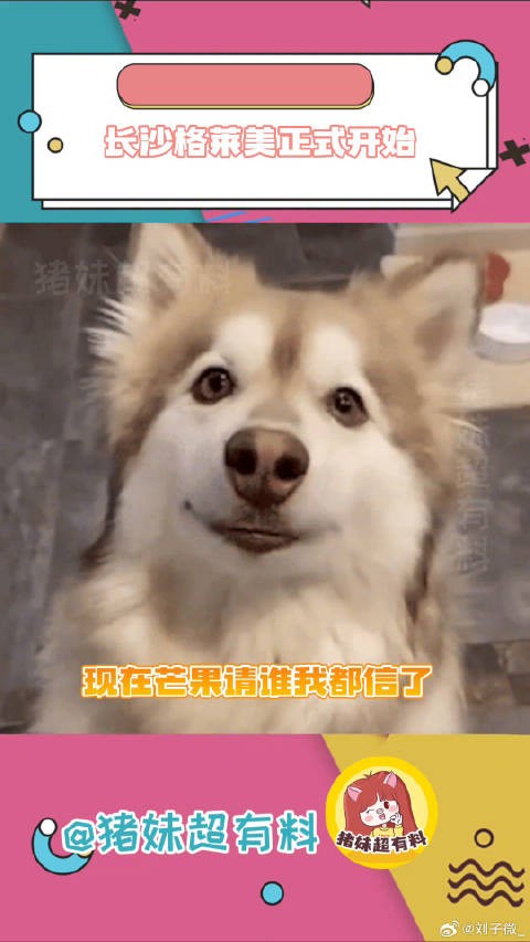 名字是对不上的，歌是全听过的！艾薇儿 断眉