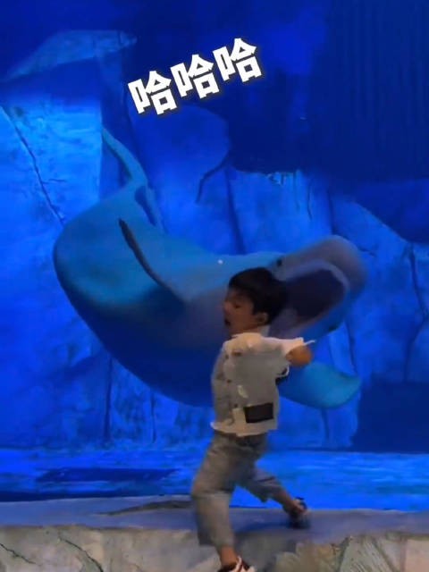 海洋馆白鲸逗小孩引欢笑，调皮互动萌翻观众