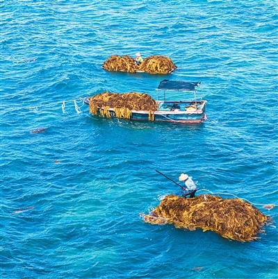 海洋保健食品，您选对了吗？