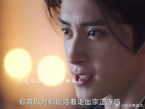 成王鲨了太子,原来燕迟父亲是成王害的,到最后燕迟解决了成王