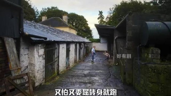 《夏日细雨》养父以饼干无声和解