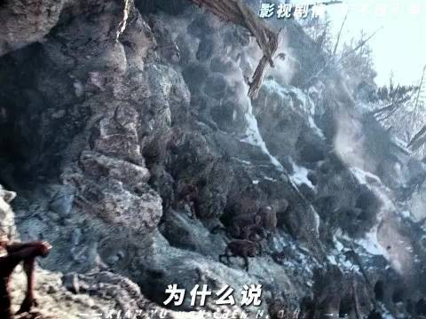 恐惧是生物的本能,勇气是人类的赞歌