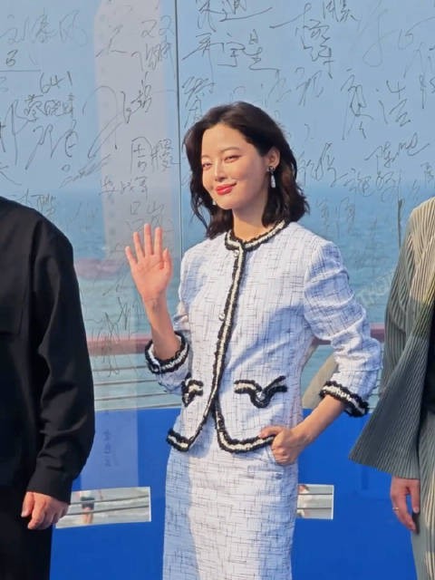 辛芷蕾迎着风走上红毯 好美啊