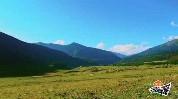 东北男人都这么会做饭?黄景瑜包饺子专业熟练王安宇惊呆