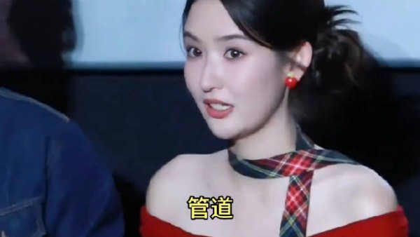 王玉雯：我演管道？