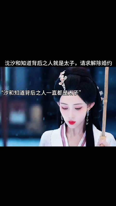 沈汐和知道背后之人就是太子，请求解除婚约