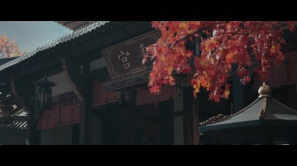 建议三位王爷先摇号、再排期，我郡主的“拒信”也要排队写，工作量超负荷了！