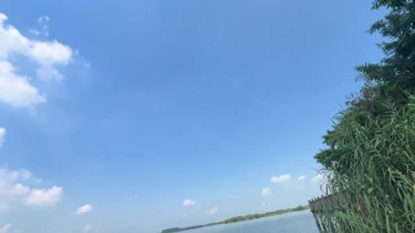 鹿晗十年老粉脱粉,司晓迪称小鲜肉玩够