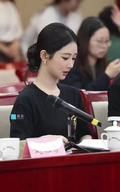 杨紫穿组服亮相家业座谈会,主创齐聚探讨徽州墨业世家