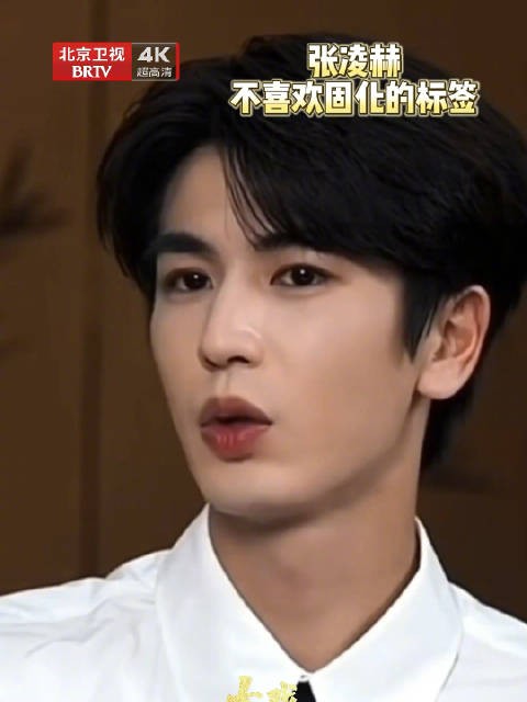 张凌赫不喜欢固化标签
