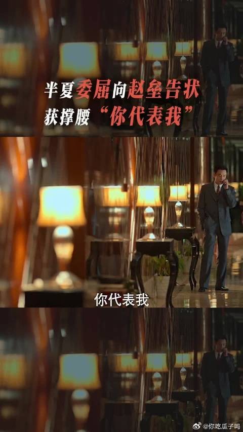 远在异国他乡的许半夏向赵垒求助,一句“你代表我”,像是得到了尚方宝剑!