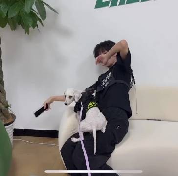 突突你踩到穆祉丞晚餐了