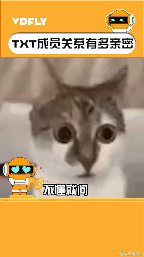 休宁凯 不懂就问，你们俩在干嘛！微博VC计划
