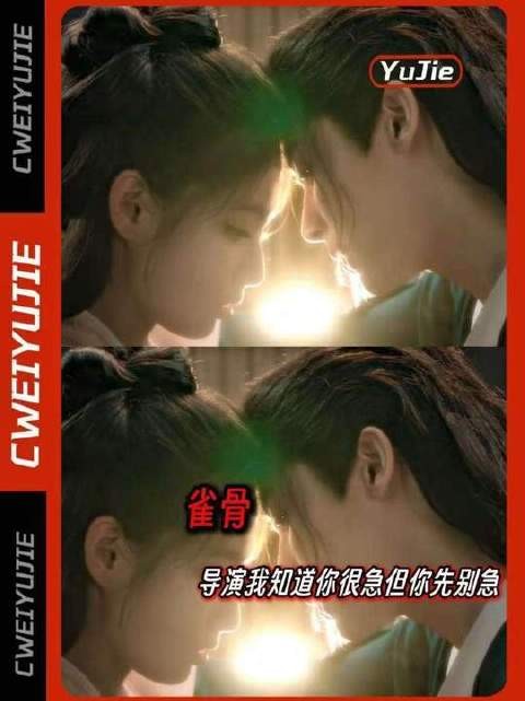 导演，您内心的焦灼我懂，可节奏得稳住！