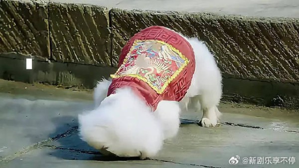 太子妃生气的样子，也太可爱了吧