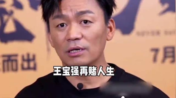 王宝强2.5亿全资买断《狠家伙》版权,抵押房产硬撼资本逻辑