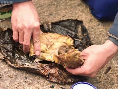 大力打了一只野鸡,汪新和姚玉玲吃完才知道是偷的 南来北往 白敬亭 金晨