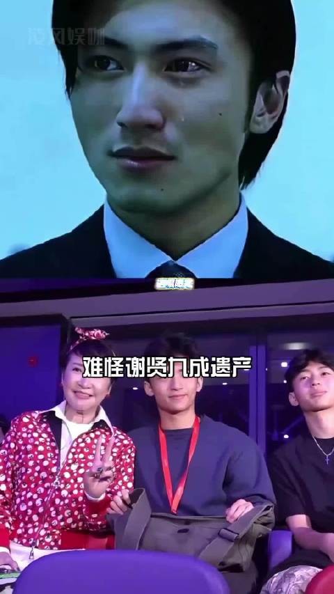 亲生子女各仅分得5%,九成遗产留给孙子,看懂谢贤遗嘱布局才知他有多远见