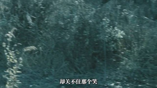 顶级外科医生黑化!用七天拆掉杀女凶手!