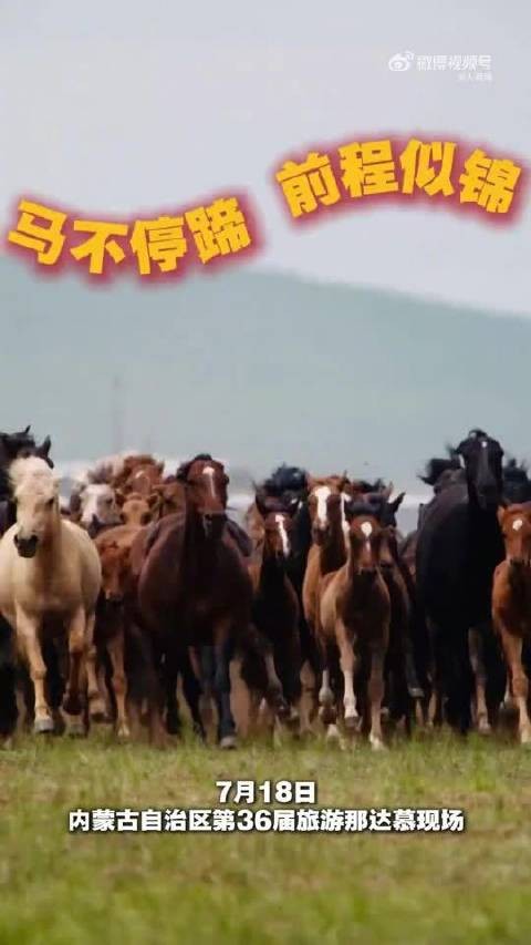 谁还没有去过草原那达慕?刷到这条视频的你:祝你前程似锦,马到成功!