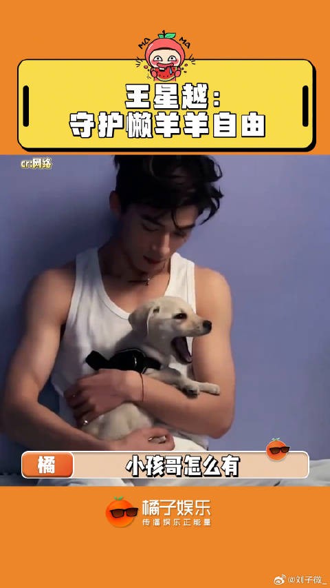 小孩哥,懒羊羊唯粉 墨雨云间 微博VC计划